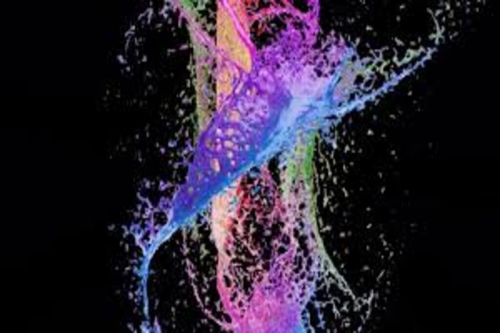 Velocitai Digital is Hiring | for QA Engineer - Manual Testing